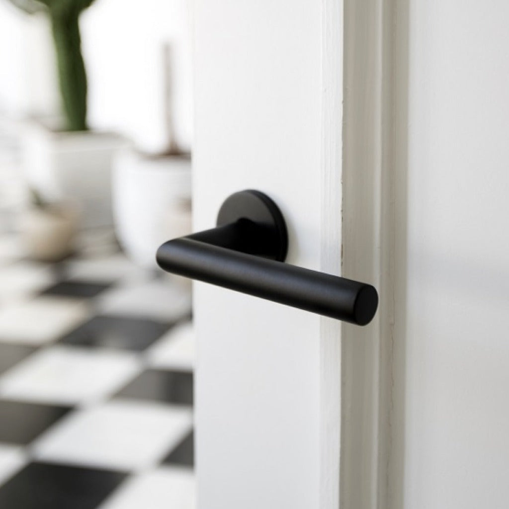 BASICS LBII-19 Door Lever - Image 11
