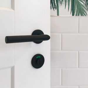 BASICS LBII-19 Door Lever