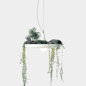 Babylon Pendant Planter