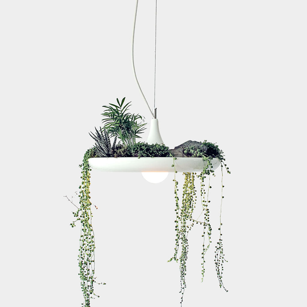 Babylon Pendant Planter