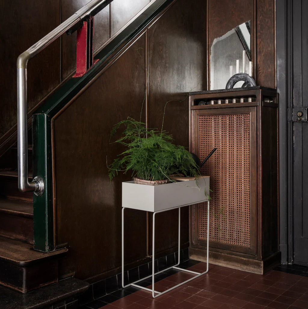 Plant Box - Image 13