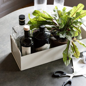 Plant Box Small