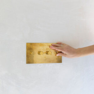 Rotary Dimmers by Forbes & Lomax