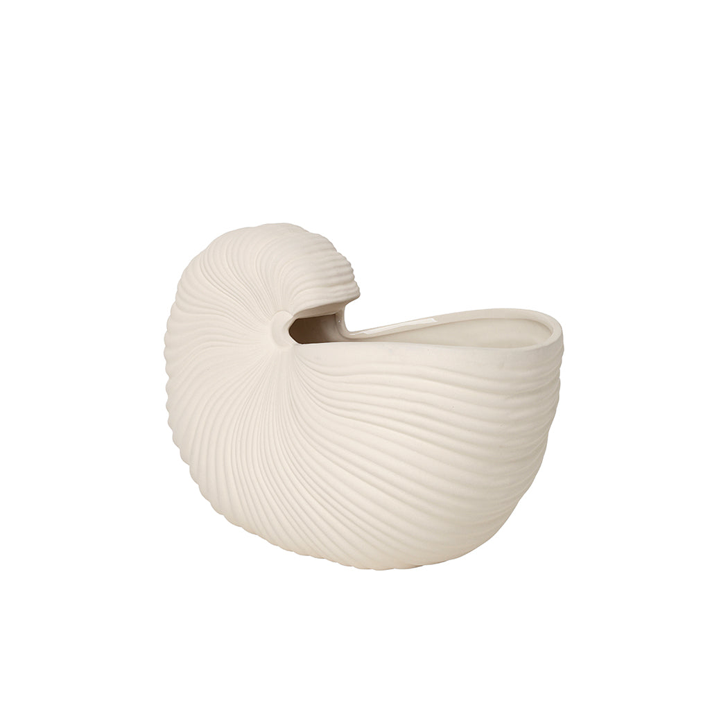 Shell Pot - Image 5