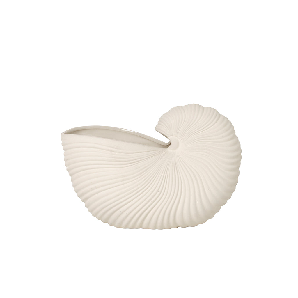 Shell Pot - Image 6
