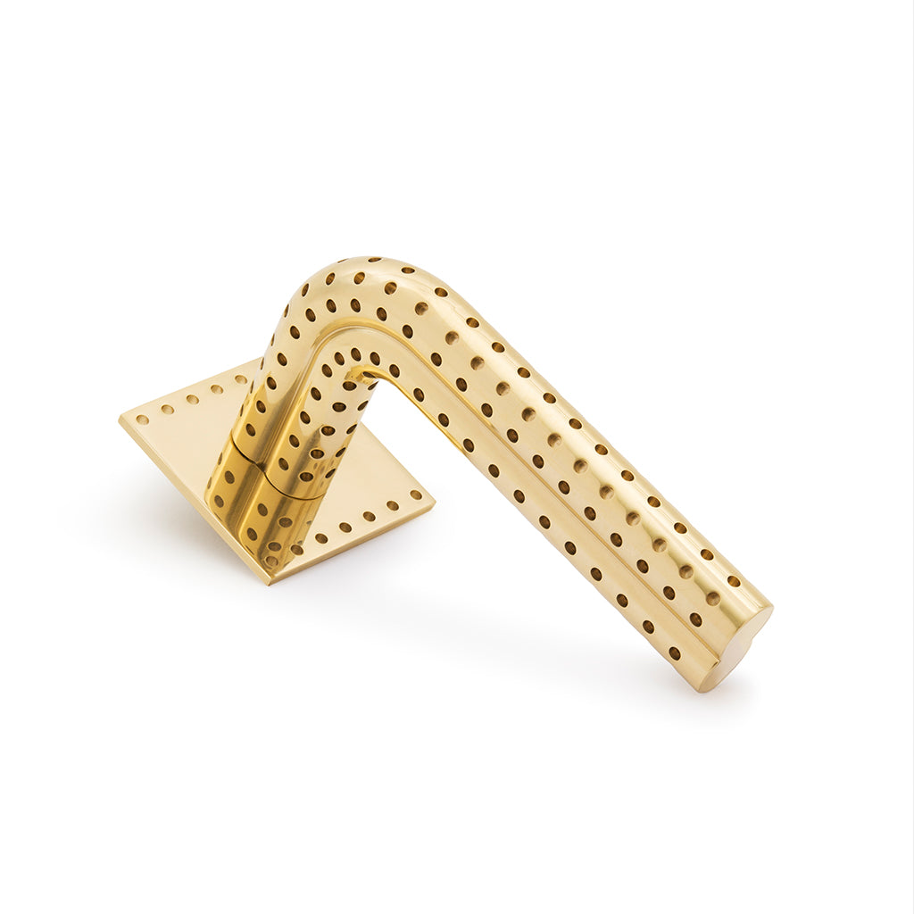 Stardust Perforated Door Lever Handle on Rose