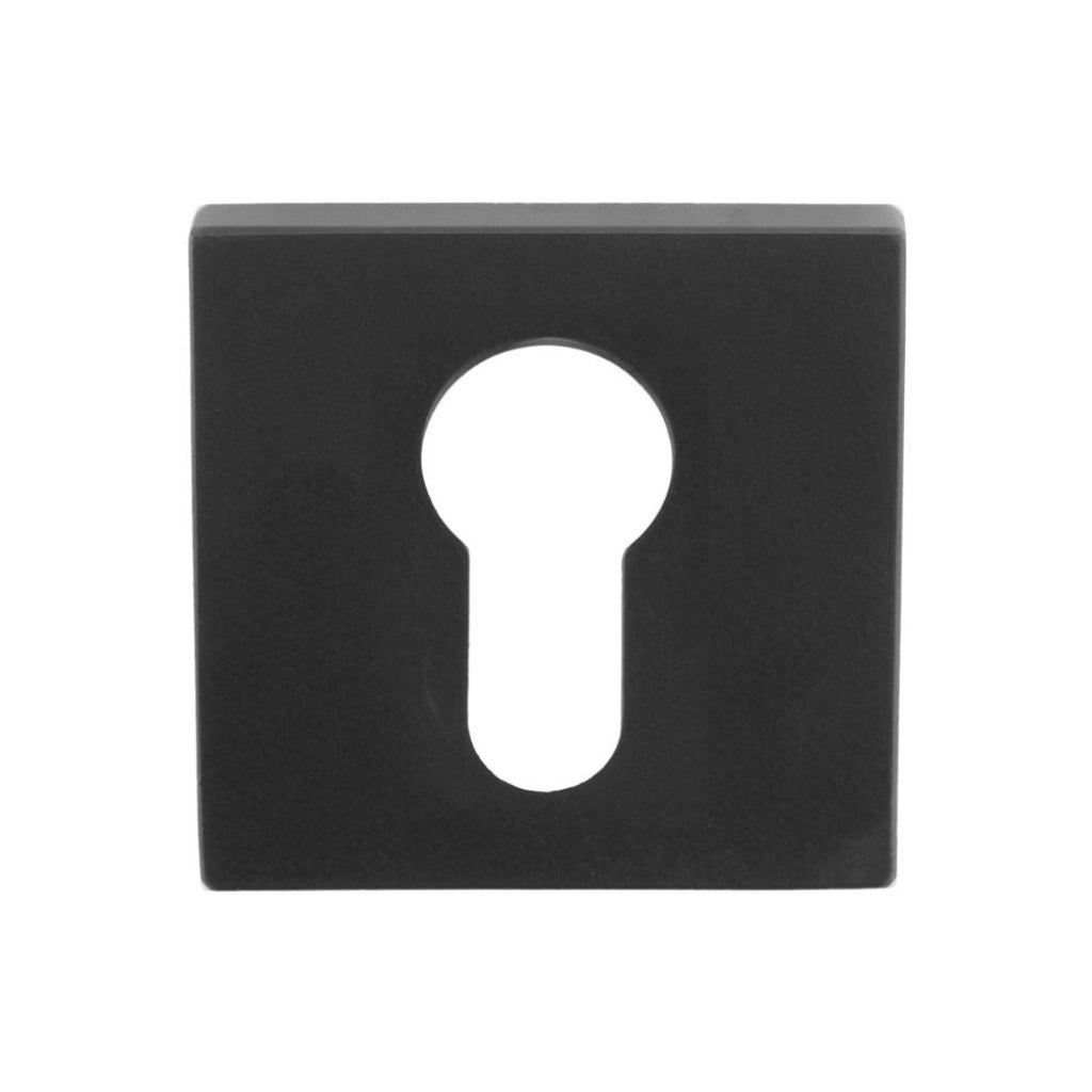 TENSE LSQBY50 Key Escutcheon - Image 2