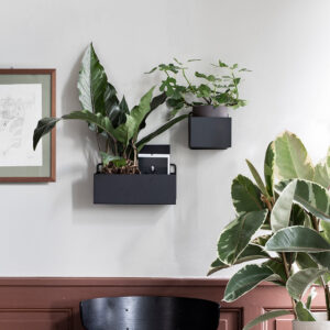 Wall Box