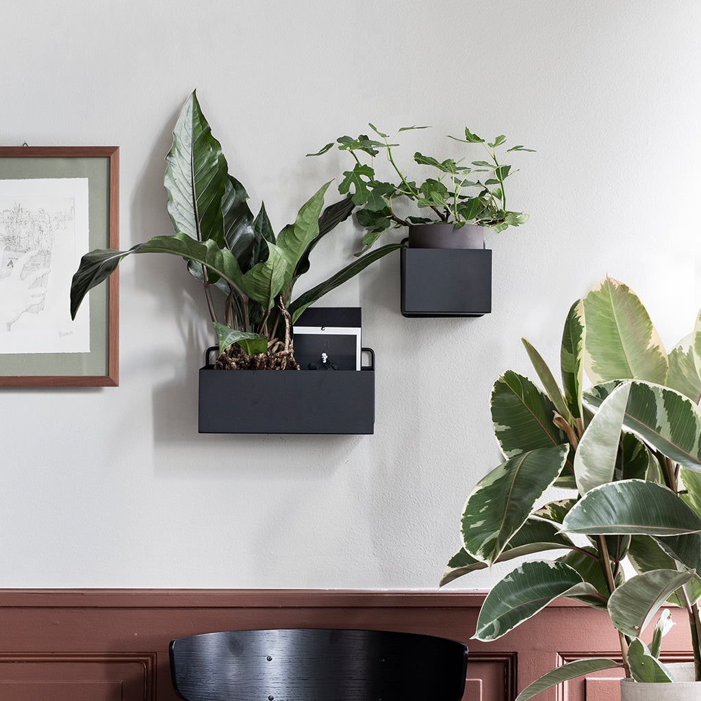 Wall Box