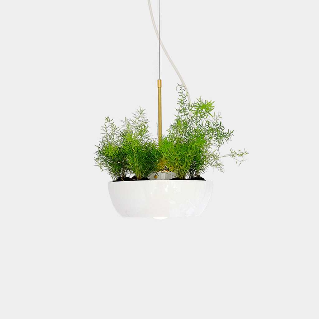 Well Pendant Planter